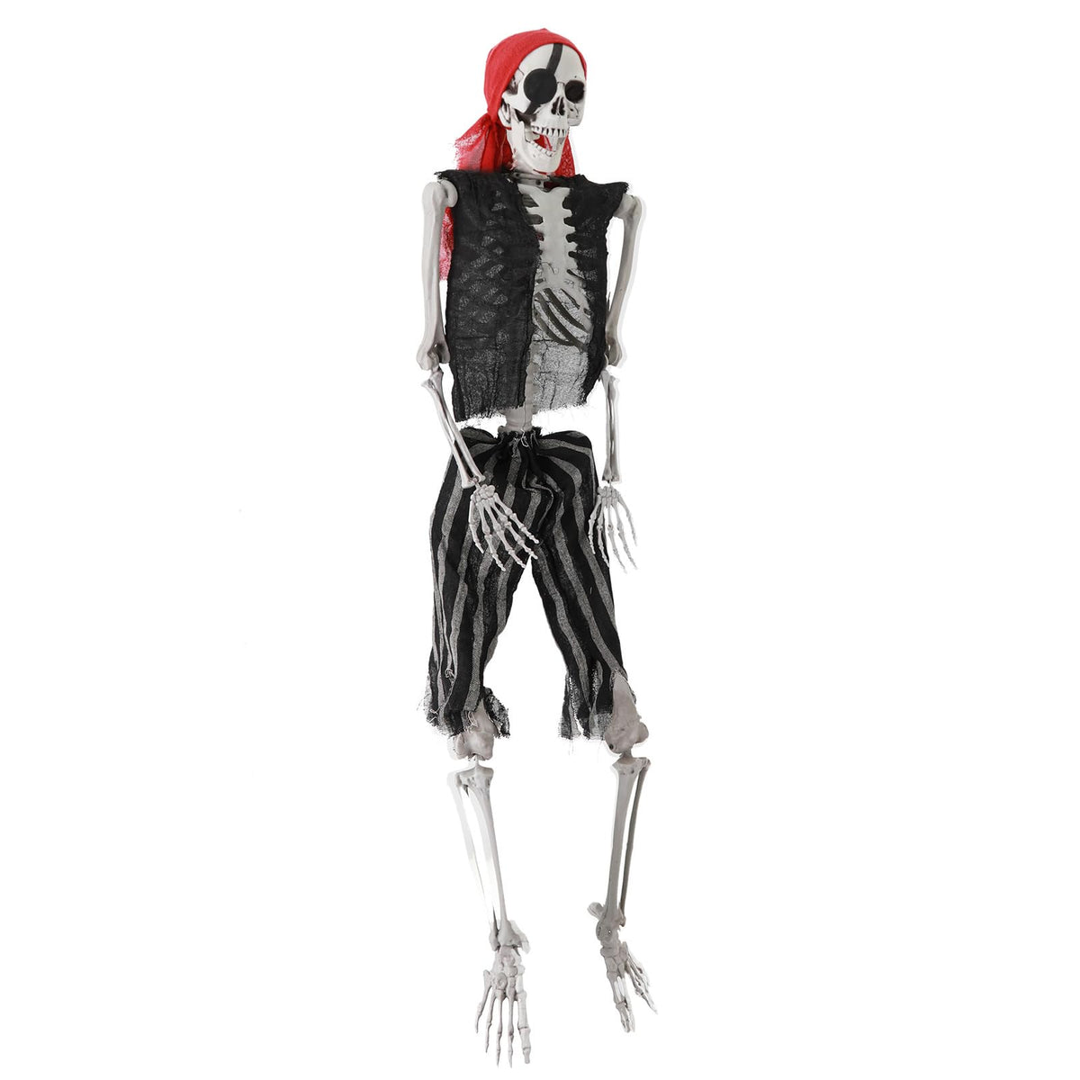 Life Size Posable Skeleton with Movable Joints O325