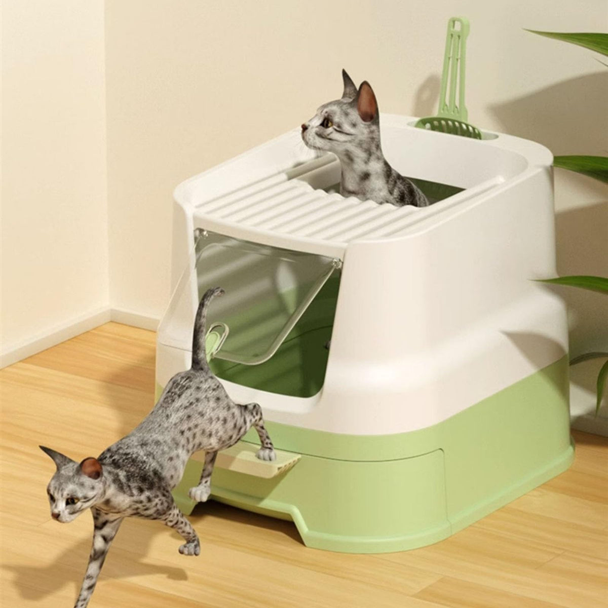 Large Top Entry Cat Litter Box with Lid and Scoop N282488