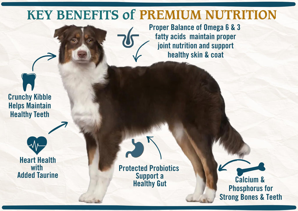 Chicken Brown Rice & Turkey Dry Dog Food 13.5lb Z219276
