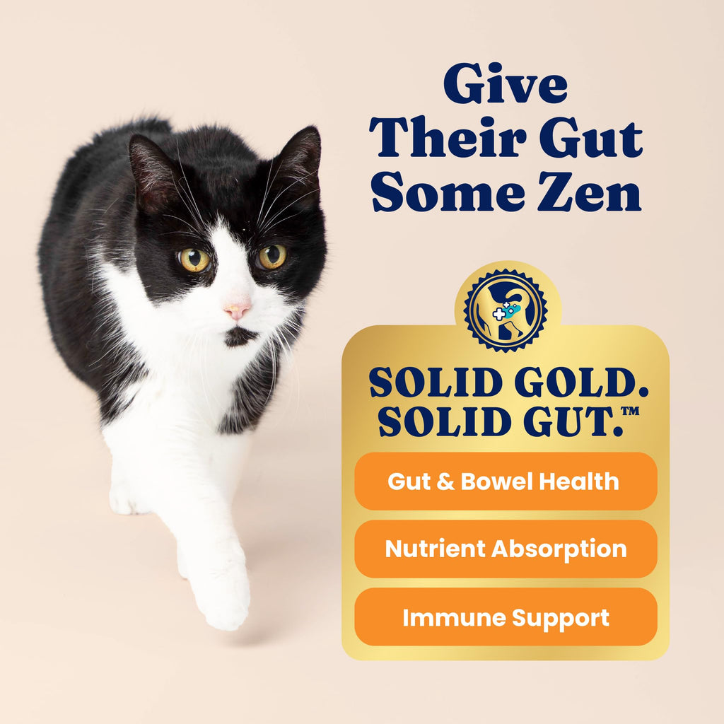 Solid Gold High Protein Chicken Dry Cat Food 6lb Q96871