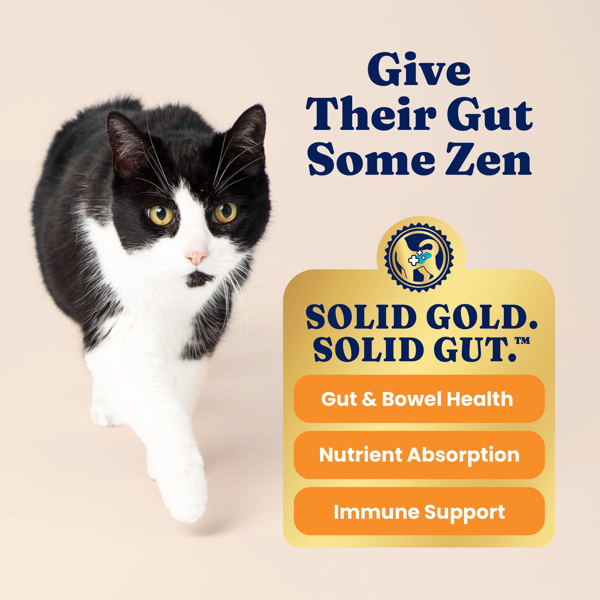 Solid Gold High Protein Chicken Dry Cat Food 6lb Q96871