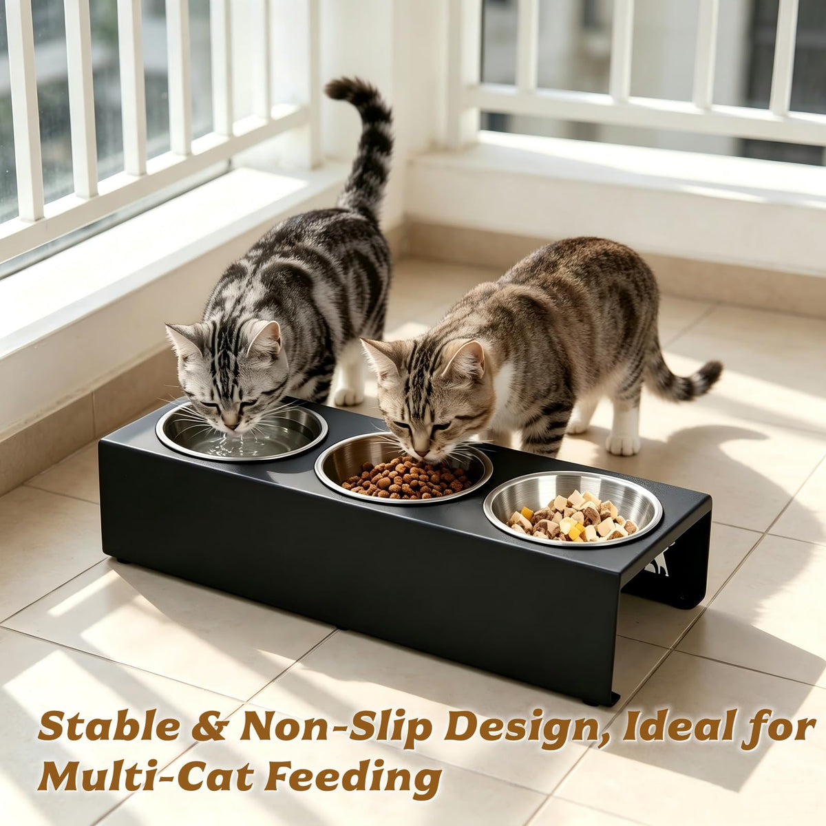 15° Tilted Stainless Steel Cat Bowls 3 Pack R791515