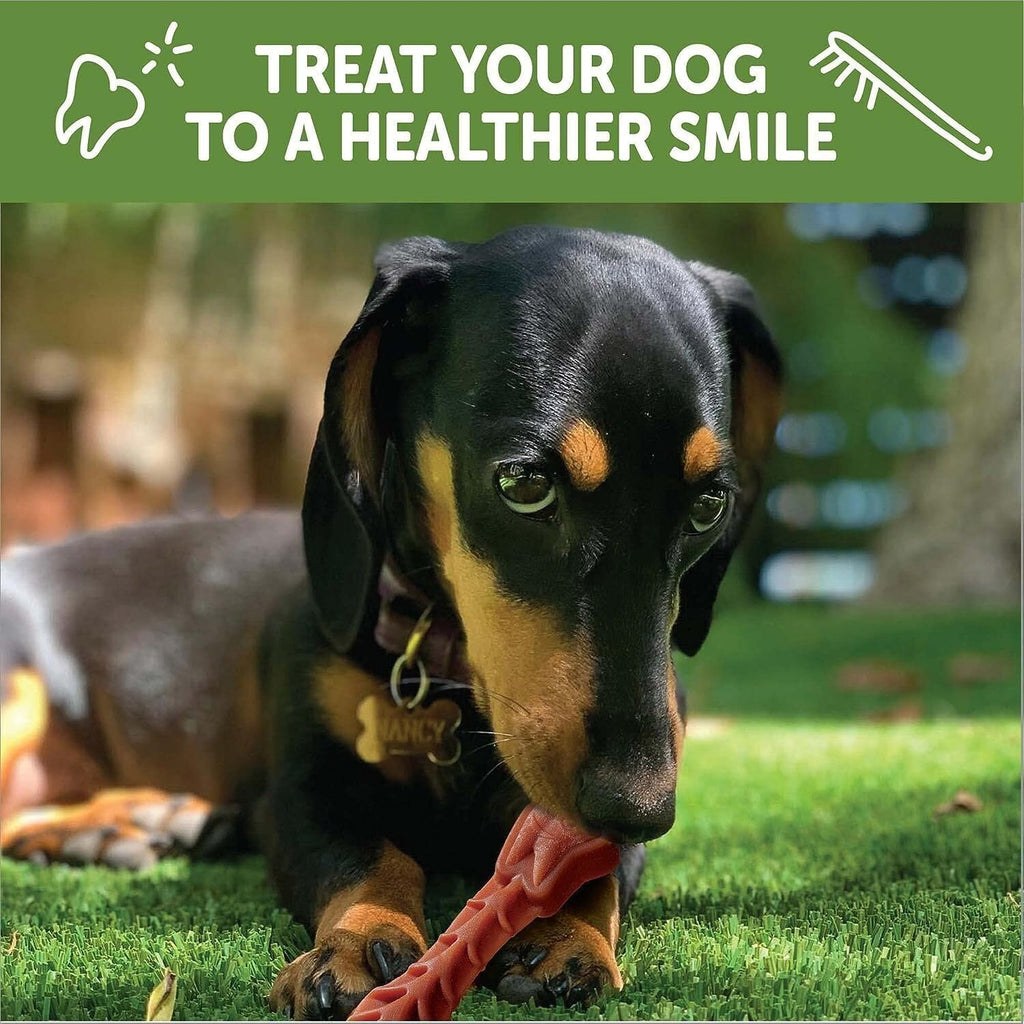 Natural Grain-Free Dental Dog Treats Variety Pack Z86692
