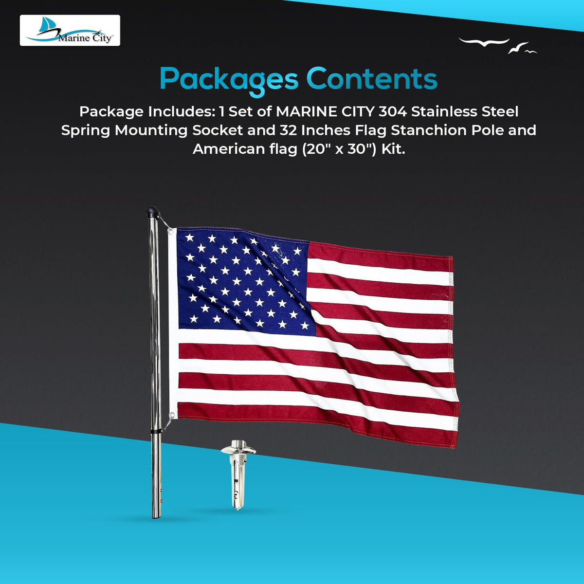 32-Inch Flag Stanchion Pole Kit 304 Stainless Steel R492411