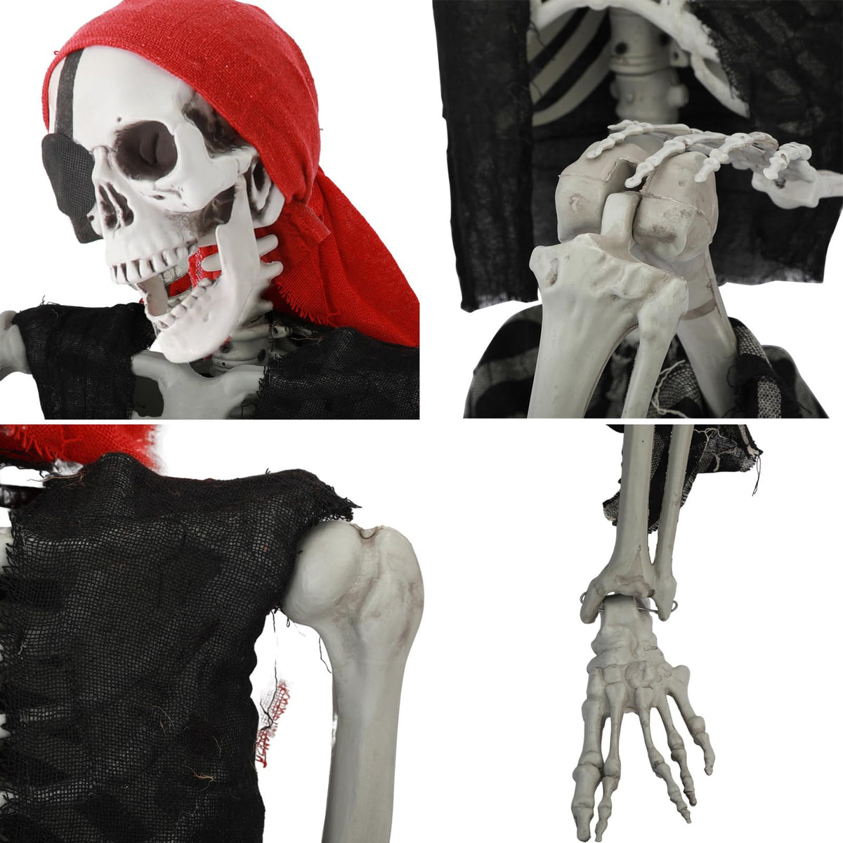 Life Size Posable Skeleton with Movable Joints O325