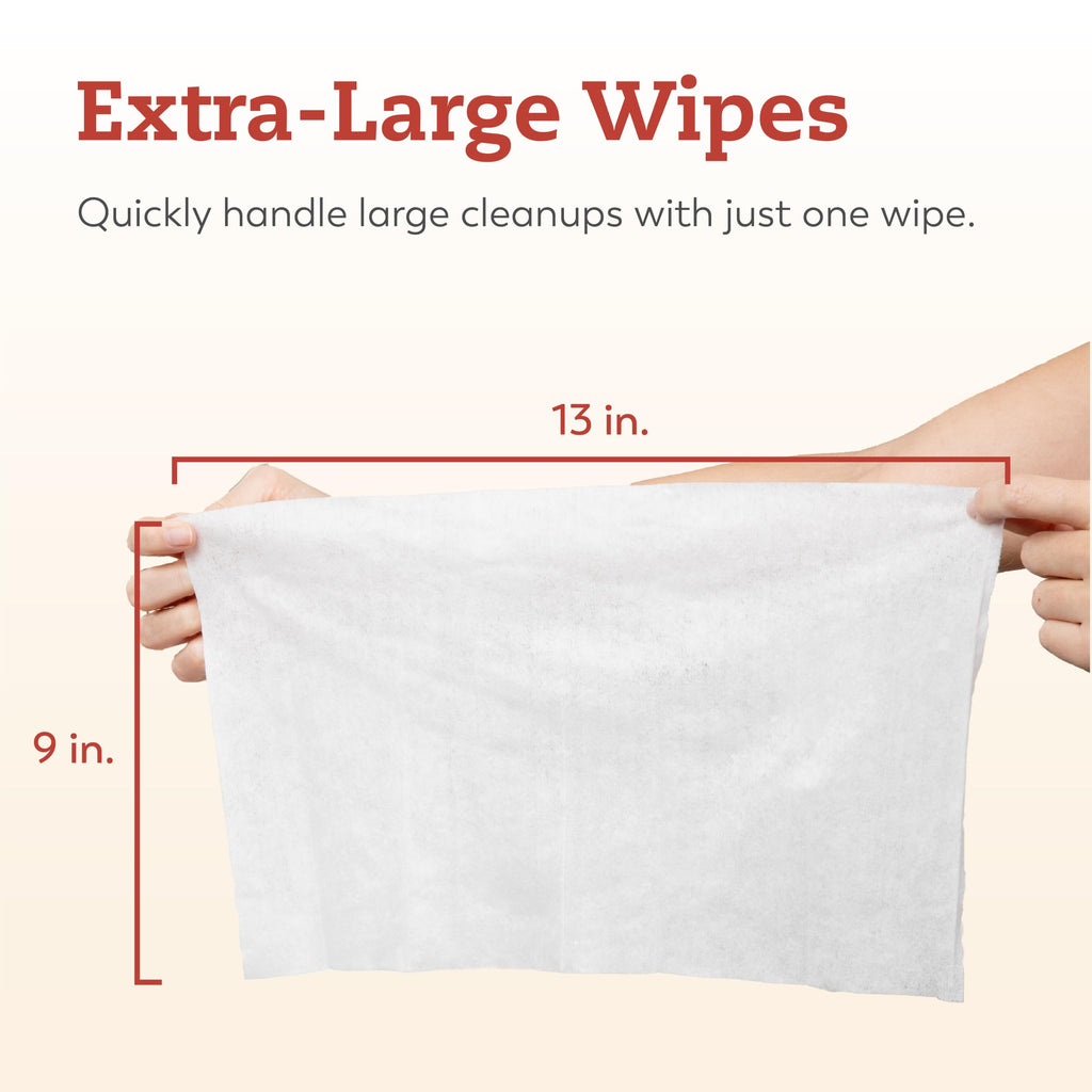 X-Large Briefs Multi-Pack + Wipes W3963