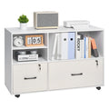 White 2 Drawer Wooden Lockable Mobile File Cabinet T606112