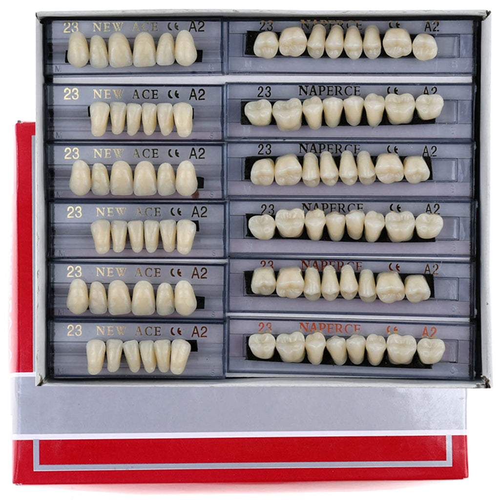 168 Pieces Acrylic Resin Denture Teeth 6 Sets 23 Shade A2 Upper + Lower N2090