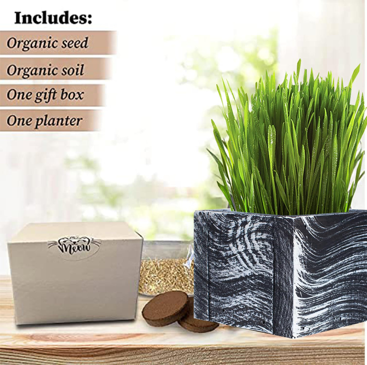 Organic Cat Grass Kit with Planter, Seeds and Soil D595