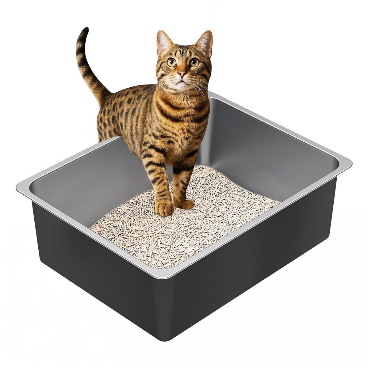High Sided Stainless Steel Cat Litter Box Y23225