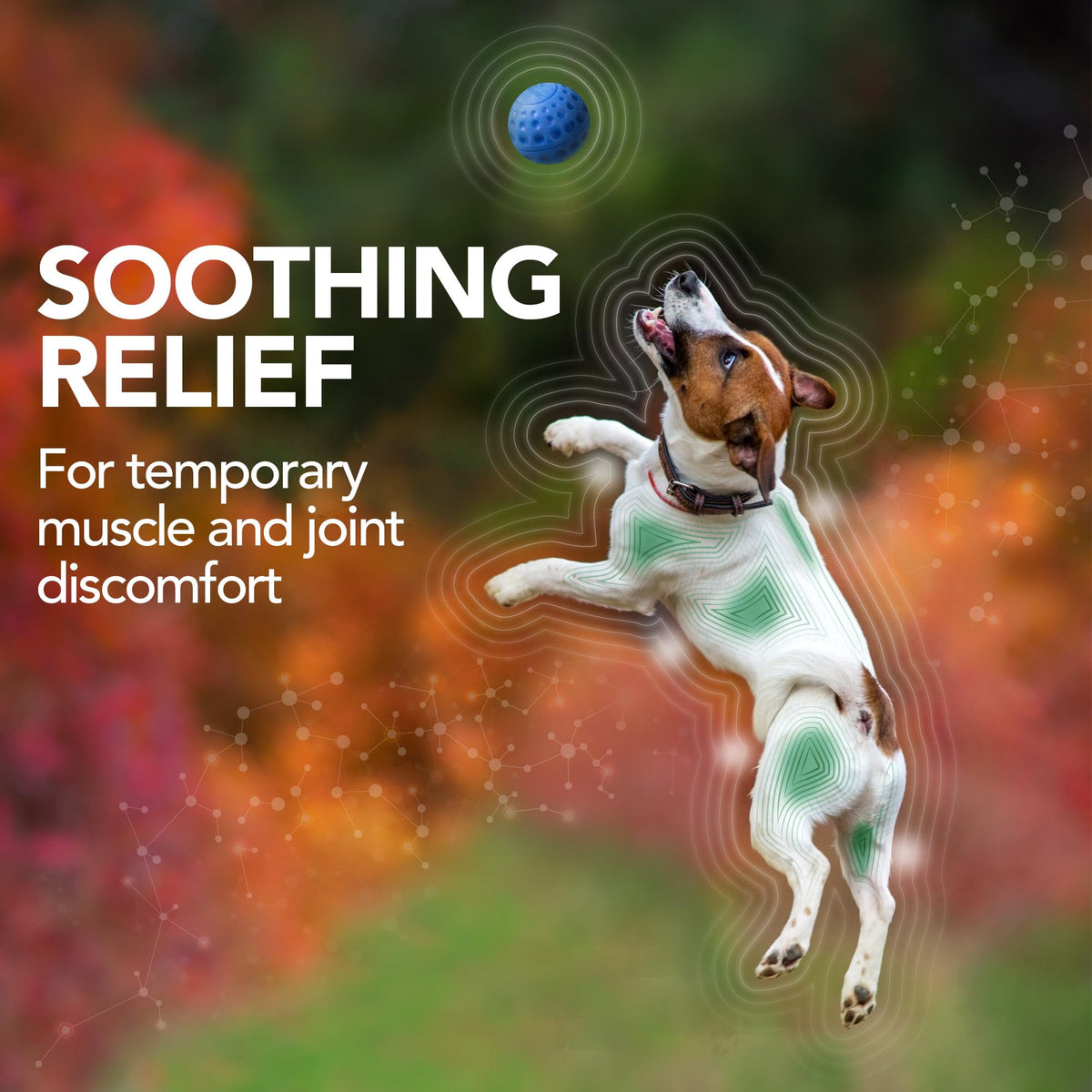 Dog Hip & Joint Support Tablets 150 Count Pack of 2 L7828