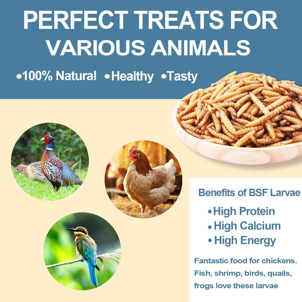 Black Soldier Fly Larvae Chicken Feed 20LB N127106