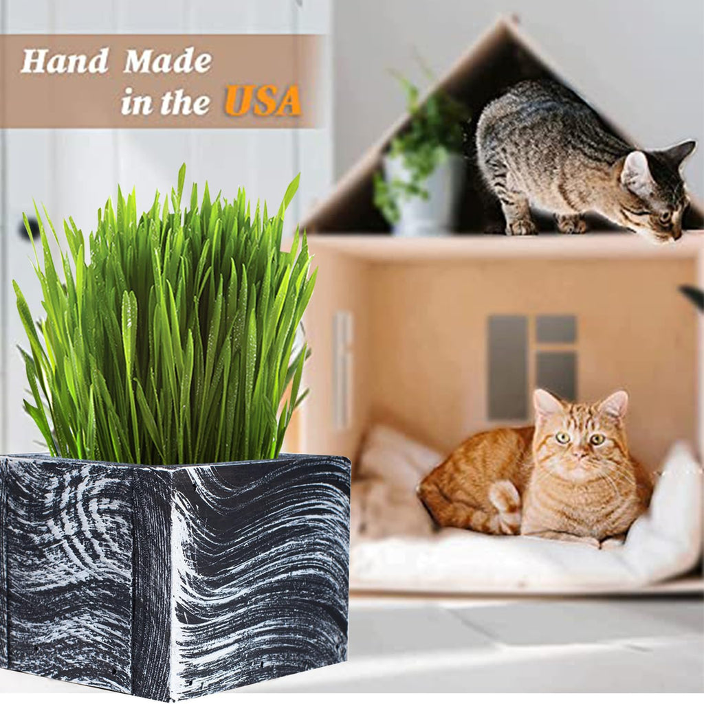 Organic Cat Grass Kit with Planter, Seeds and Soil D595