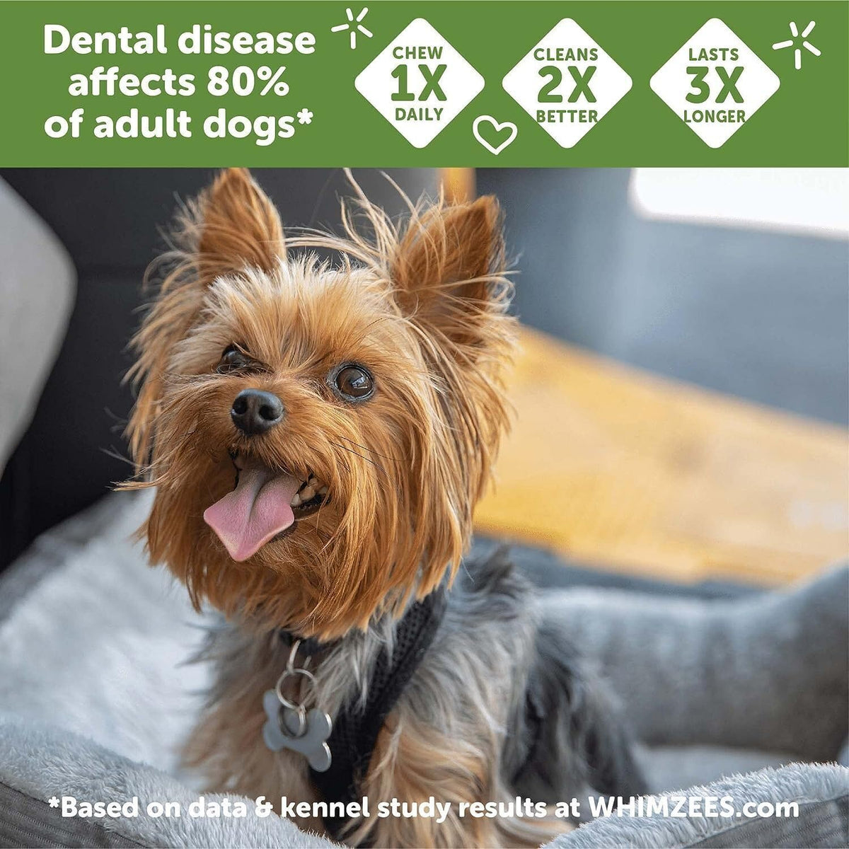 Natural Grain-Free Dental Dog Treats Variety Pack Z86692
