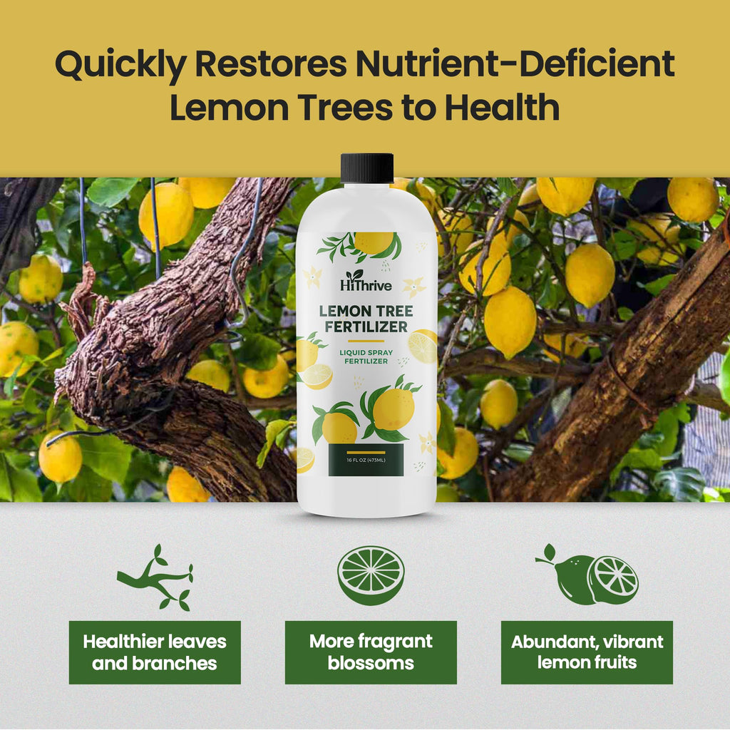 16oz 4-3-6 Liquid Fertilizer K57886