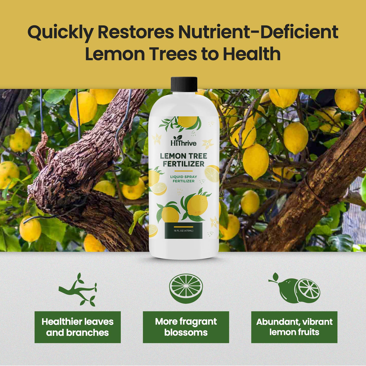16oz 4-3-6 Liquid Fertilizer K57886