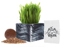 Organic Cat Grass Kit with Planter, Seeds and Soil D595