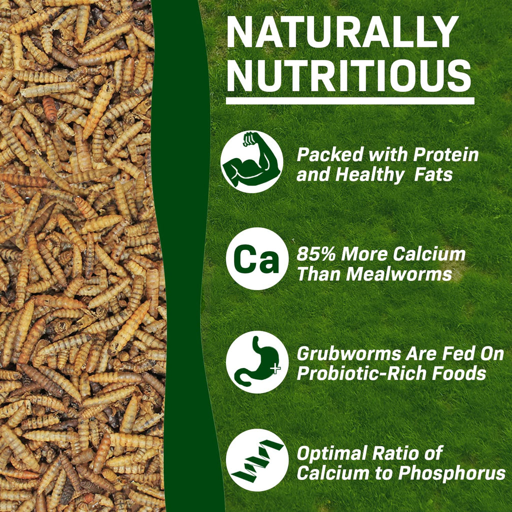 20 LB Dried Black Soldier Fly Larvae R741