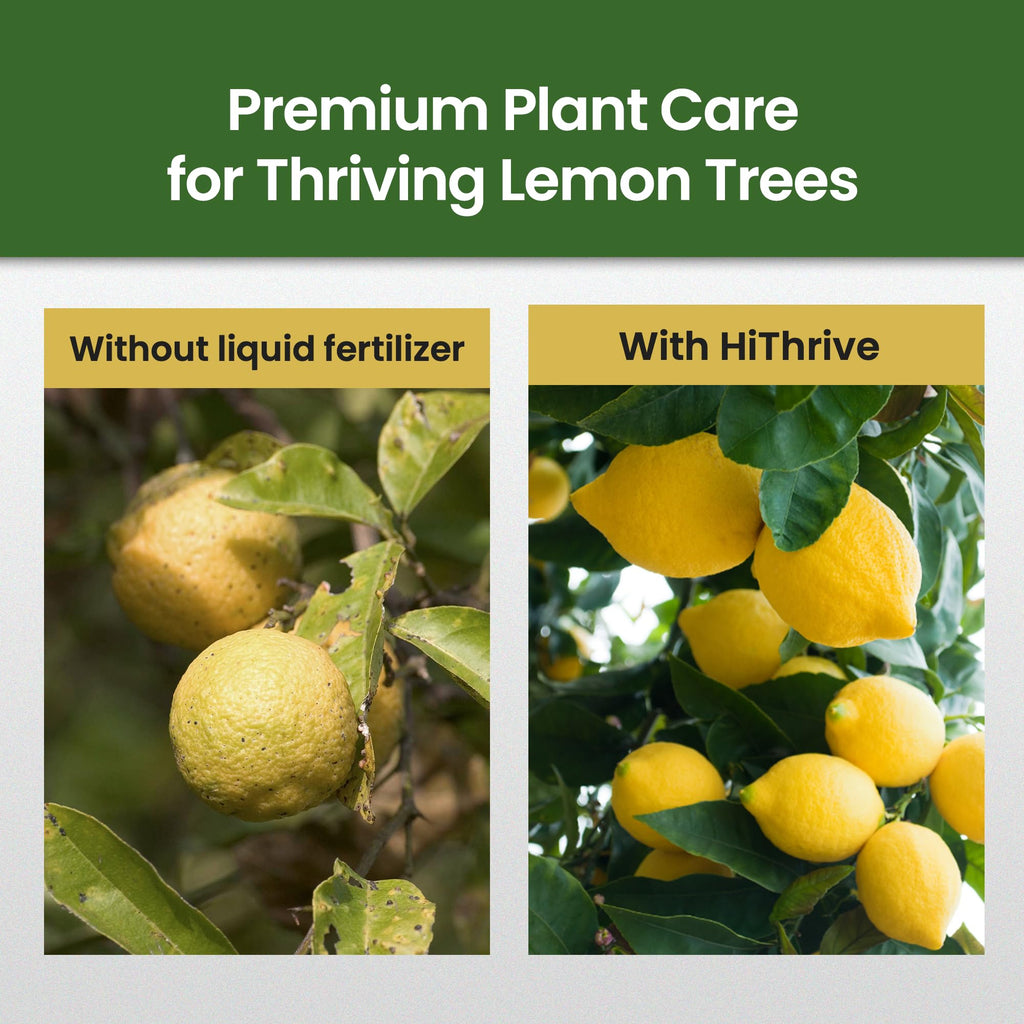 16oz 4-3-6 Liquid Fertilizer K57886