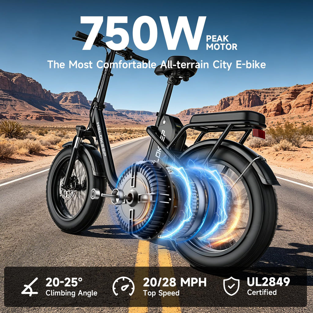 Folding Electric Bike with Rear Rack B164