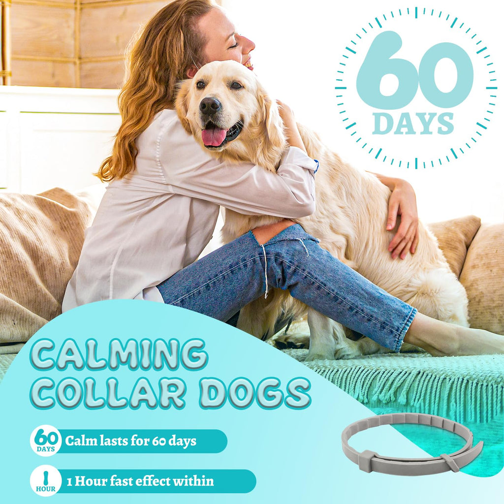 4 Packs Adjustable Dog Calming Collar Grey Y650102