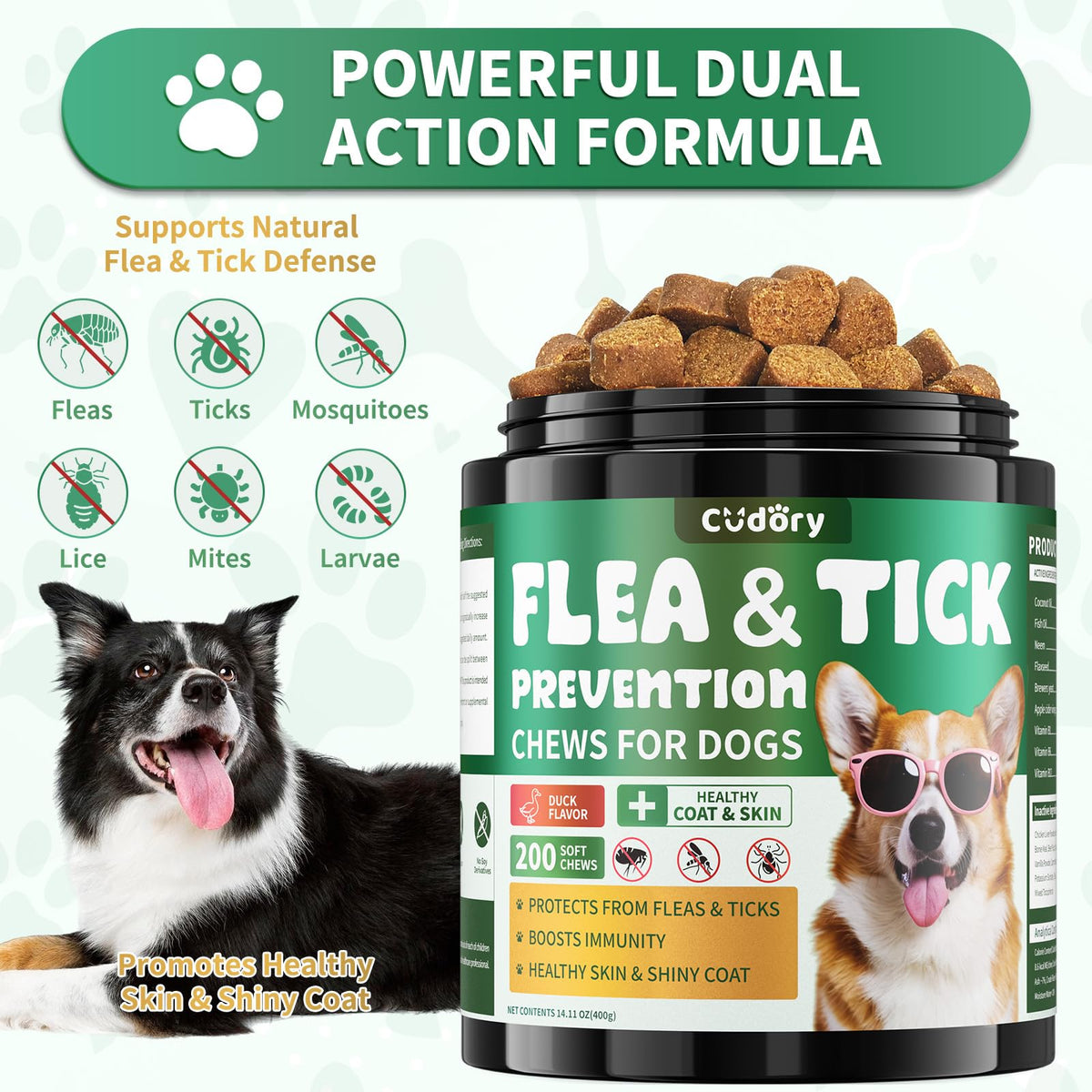 Flea and Tick Prevention for Dogs Chewables N194675