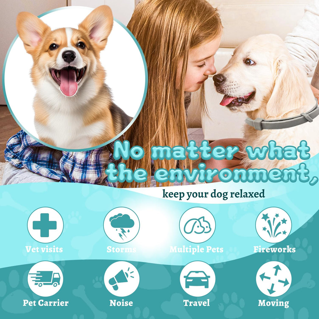 4 Packs Adjustable Dog Calming Collar Grey Y650102