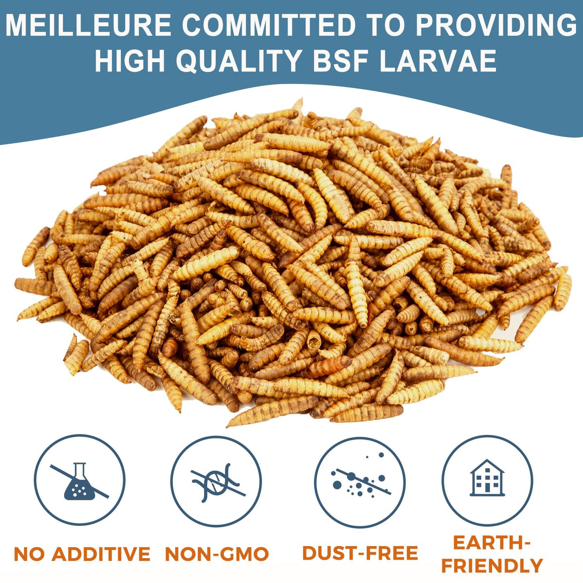 Black Soldier Fly Larvae Chicken Feed 20LB N127106