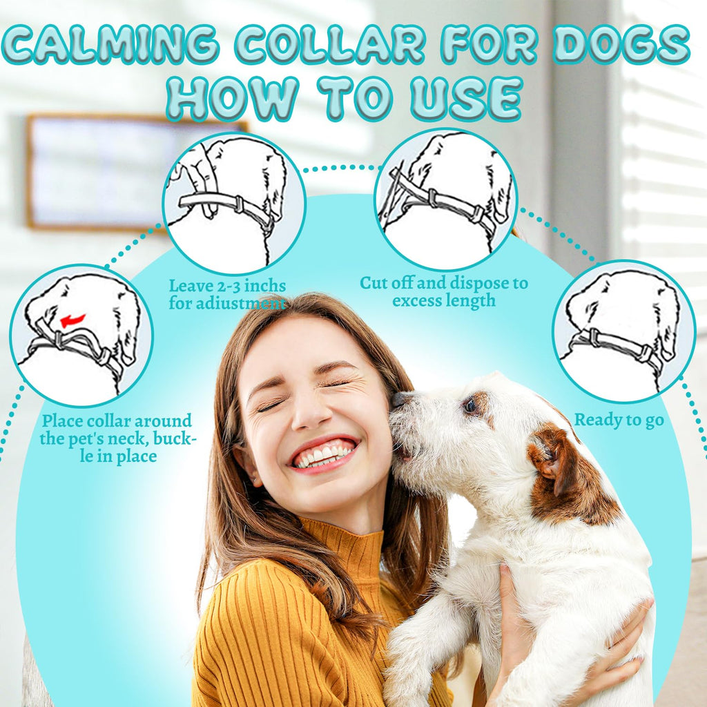 4 Packs Adjustable Dog Calming Collar Grey Y650102