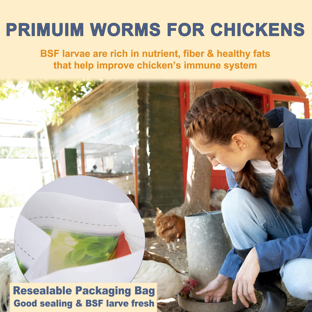 Black Soldier Fly Larvae Chicken Feed 20LB N127106