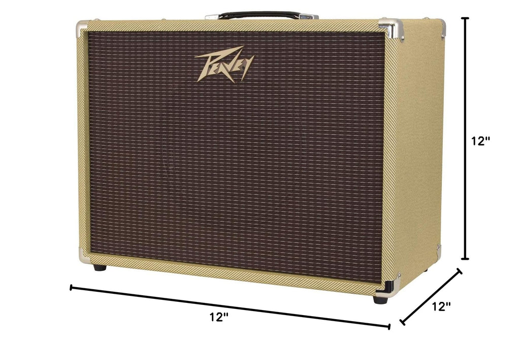 Guitar Speaker Cabinet N680284