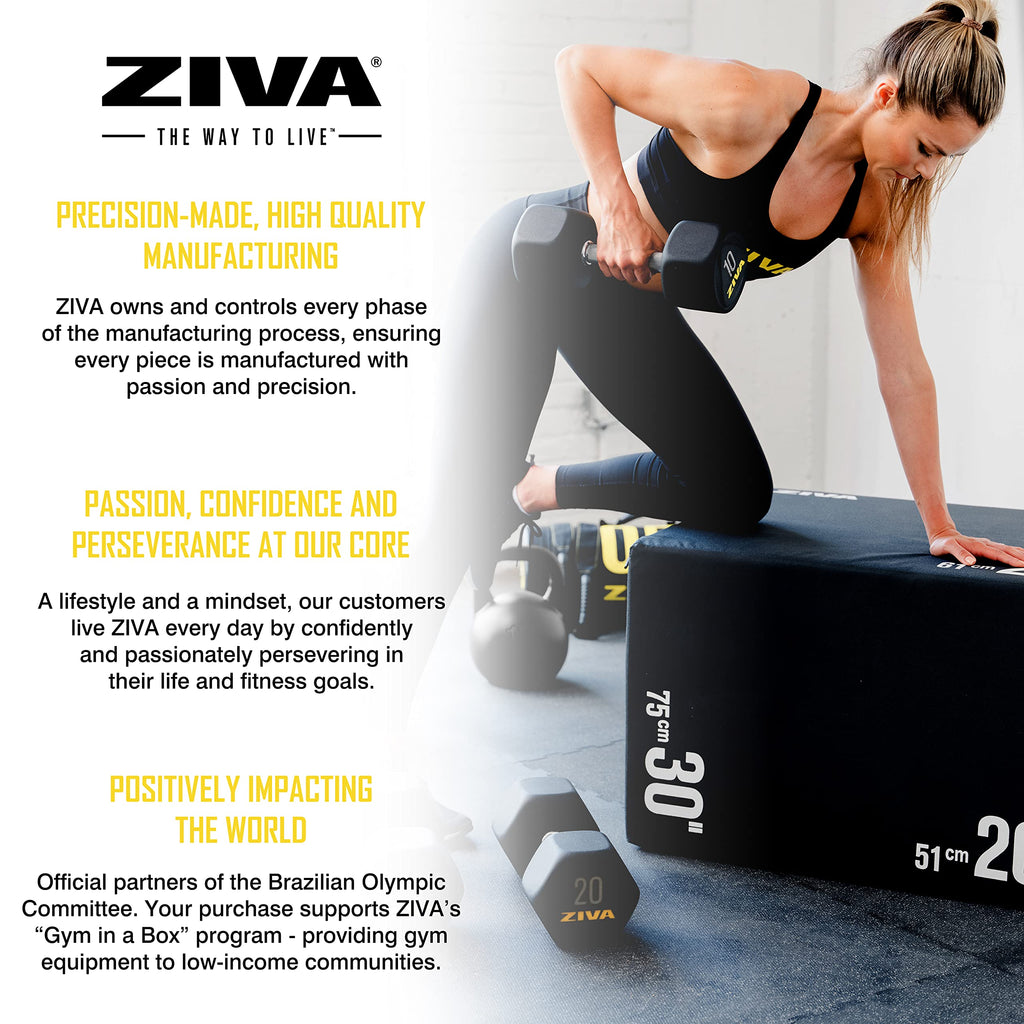 Hex Rubber Coated Dumbbells L115459