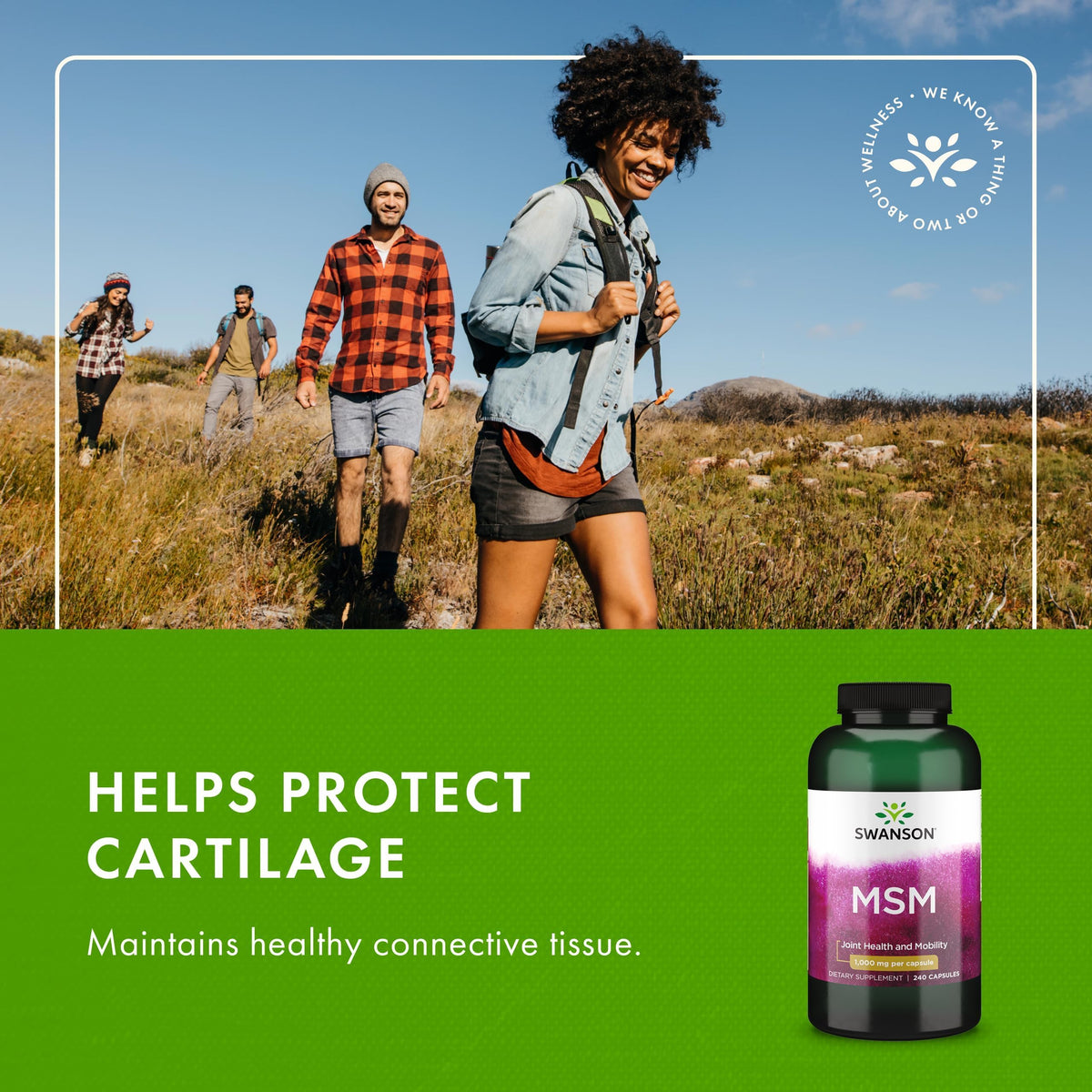 MSM Joint Health Supplement, 1000 mg, 240 Capsules P227205