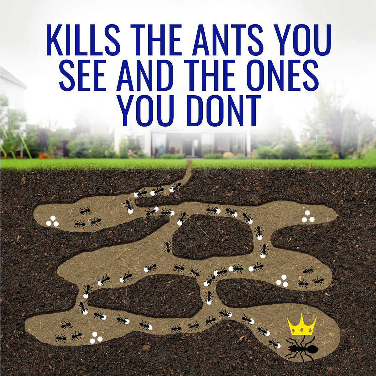 1 oz Liquid Ant Killer W528649