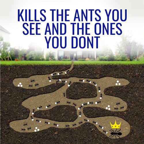 1 oz Liquid Ant Killer W528649